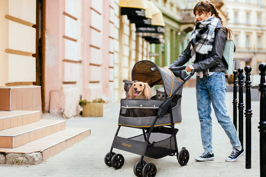 Exploring the Wonderful Benefits of Pet Prams: A Stroll with Style and Convenience