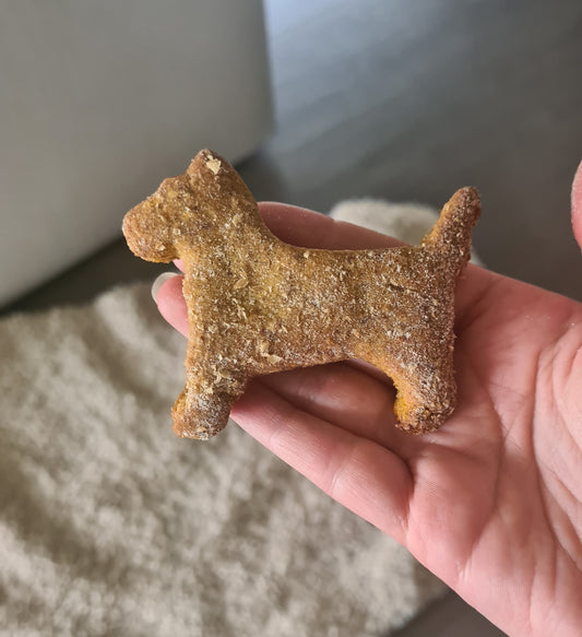 Create Perfect Homemade Dog Treats!