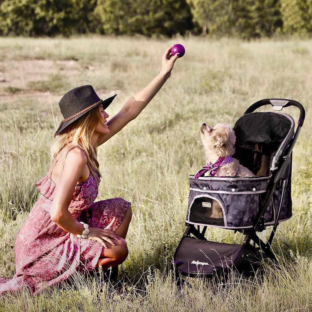 Pet Prams & Strollers