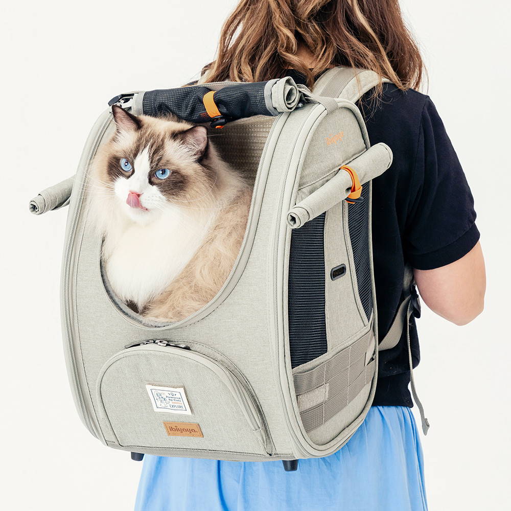 Cat being carried in a Ibiyaya adventure pet backpack