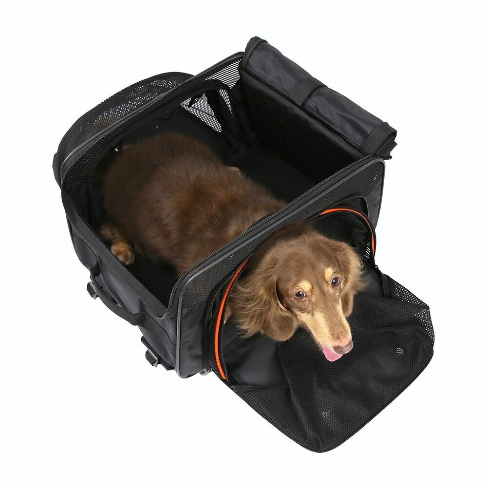 Ibiyaya JetPaw Expandable Pet Carrier & Backpack Obsidian/Orange