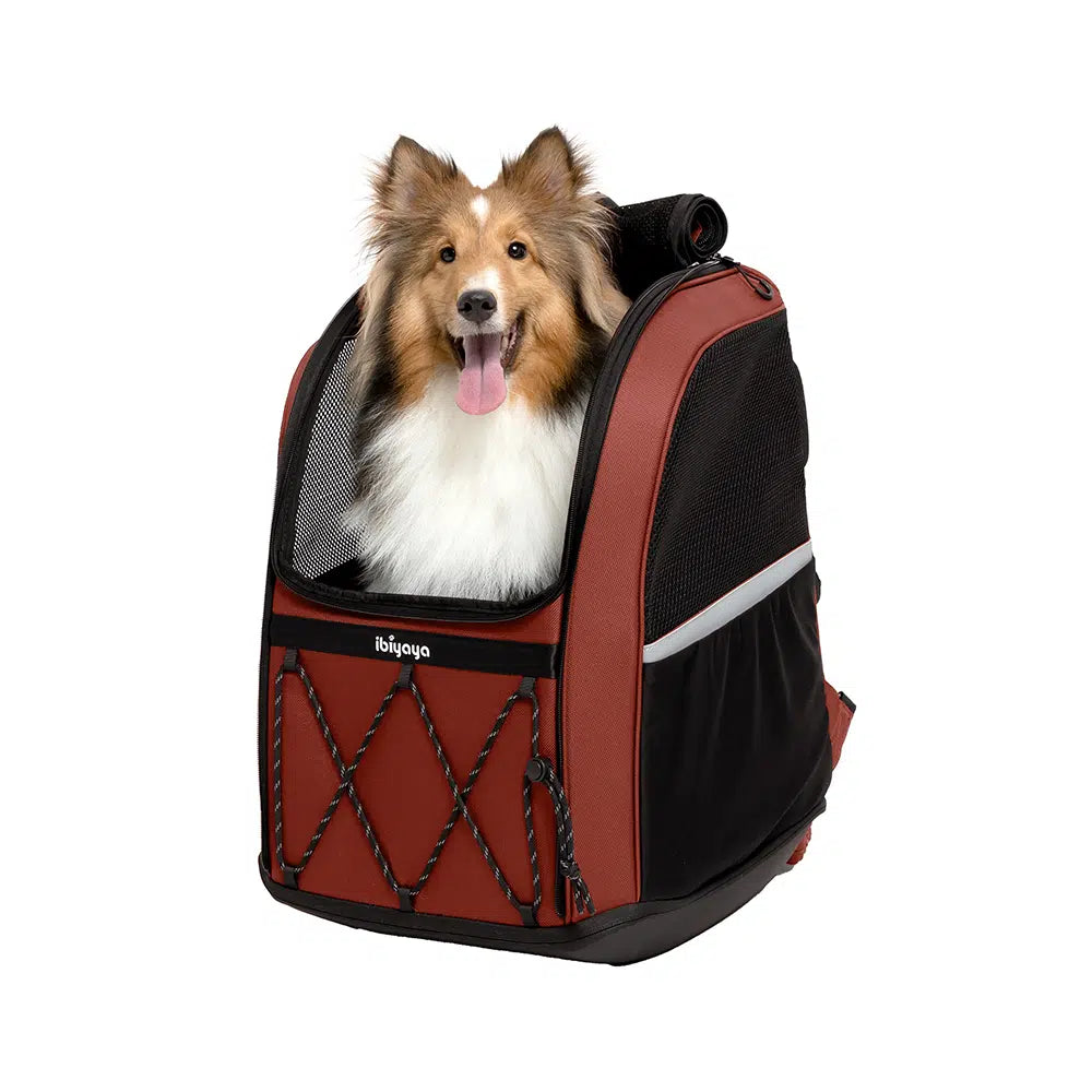 Ibiyaya Champion Large Dog Carrier Backpack