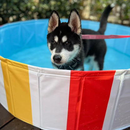 Charlie’s Portable Pet Pool Beach Ball