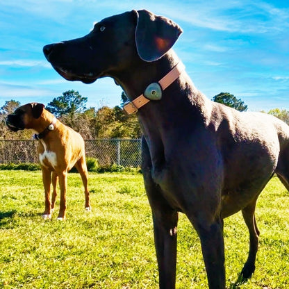 Max & Molly Soundshield Ultrasonic Protection for Ticks & Fleas